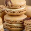 Espresso Coffee Macarons 6-pack